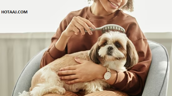 Luxury and Wellness for Pets: Top Pet Care Trends to Watch in 2024