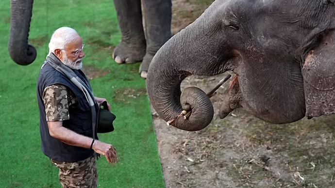 PM Modi Praises Assam’s Elephant Conservation Project in ‘Mann Ki Baat’ Address